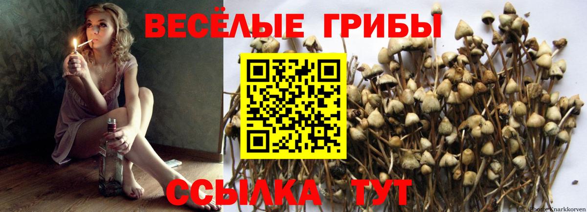 Псилоцибиновые грибы ЛСД Краснокаменск